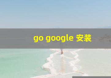 go google 安装